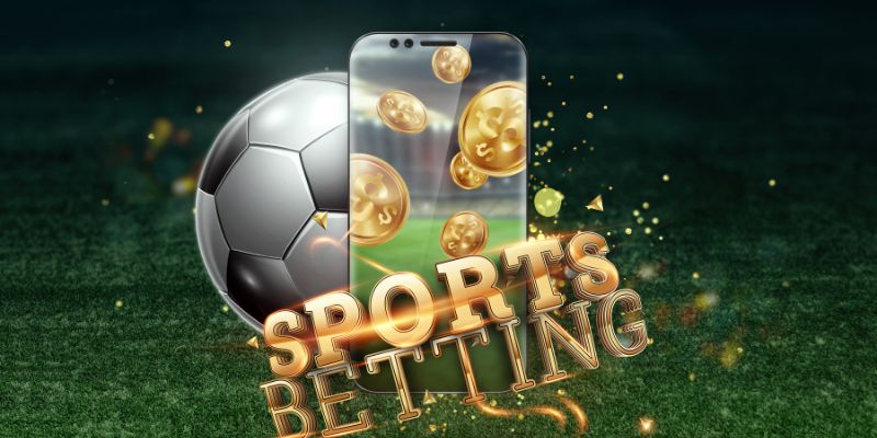 Quyền lợi và trách nhiệm của người chơi